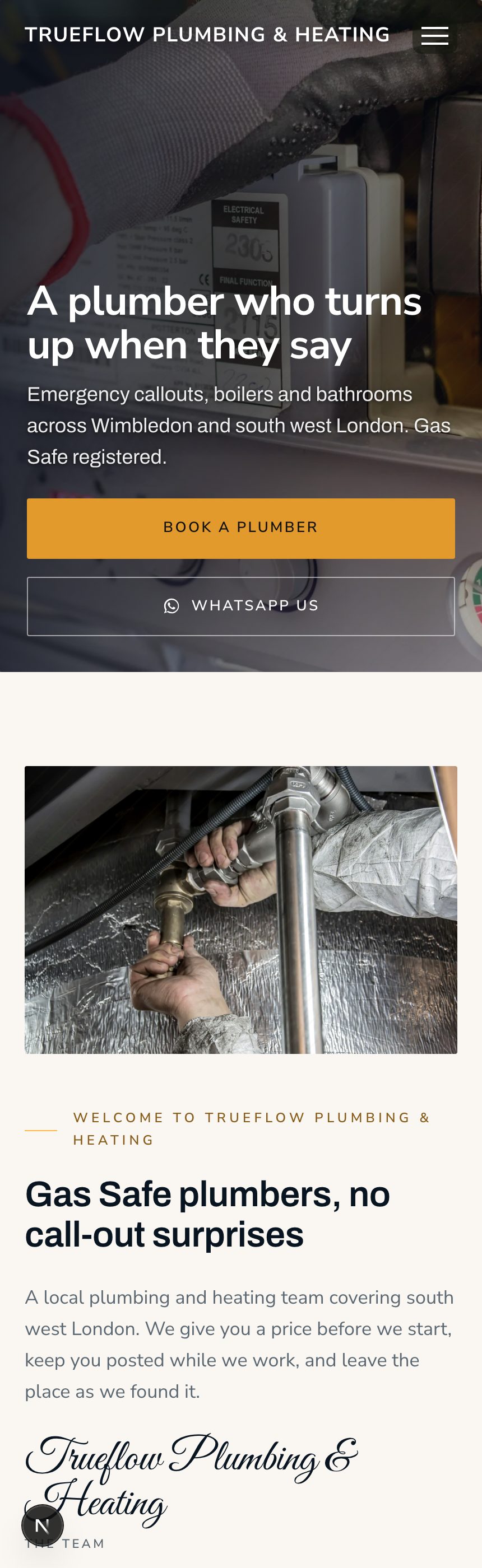 An example website for a plumbing business